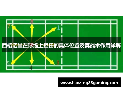 西格诺里在球场上担任的具体位置及其战术作用详解