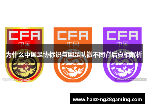 为什么中国足协标识与国足队徽不同背后真相解析 为什么中国足协标识与国足队徽不同背后真相解析